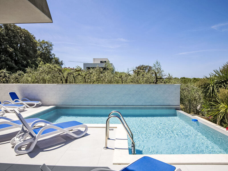 Luxury apartment Kevin