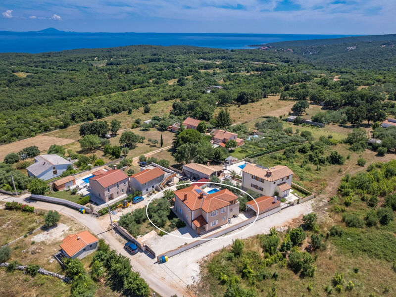 Vila Javor
