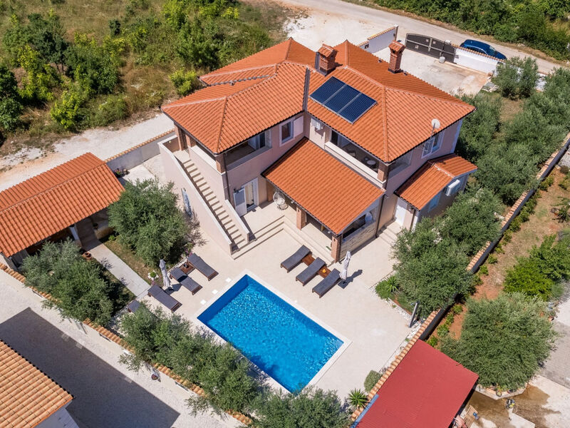 Vila Javor