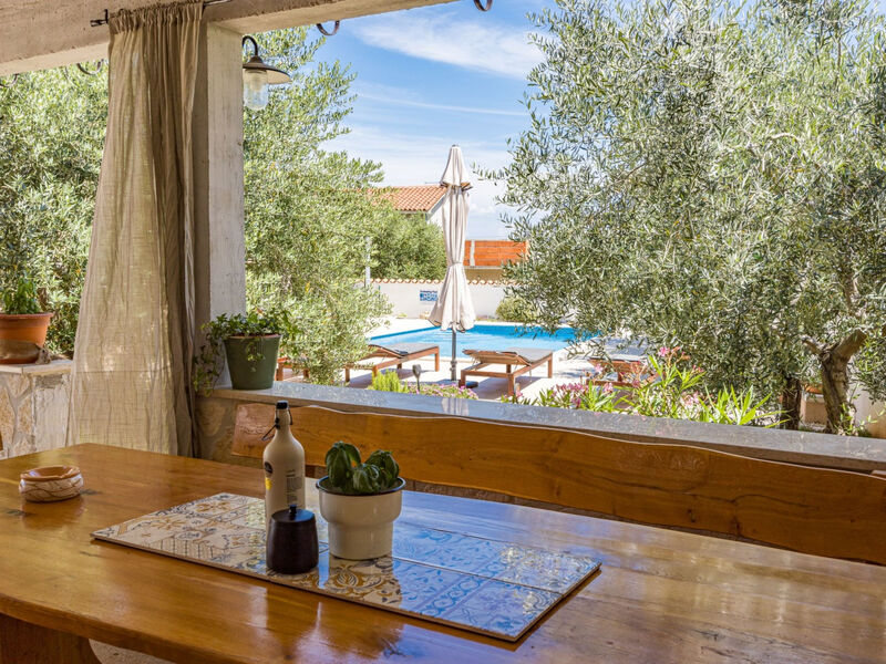Vila Javor