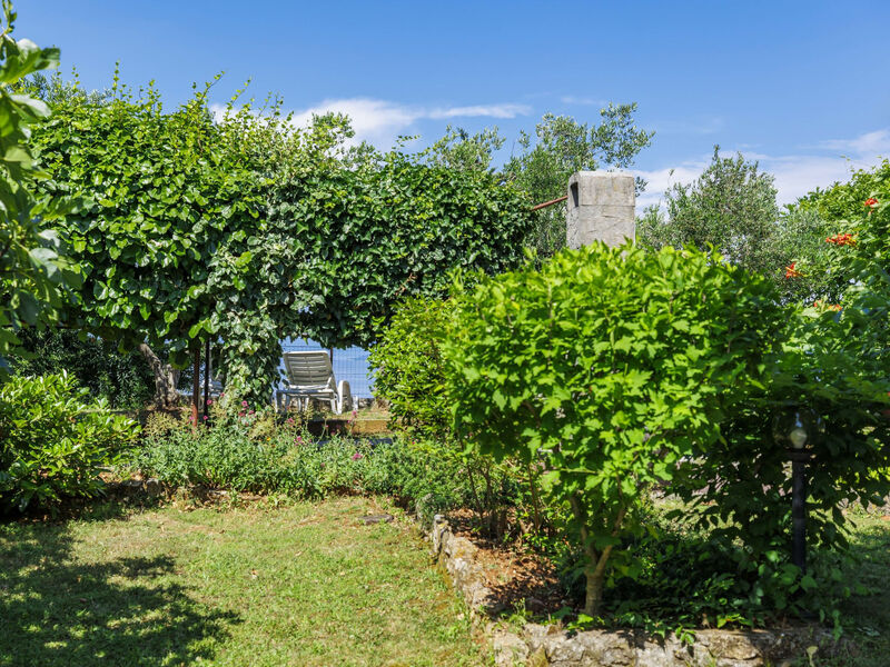 Lado Mediterraneo