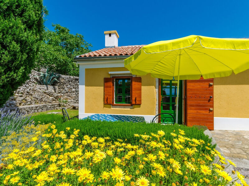 SARAR KOTOR CH / HR-10358-02