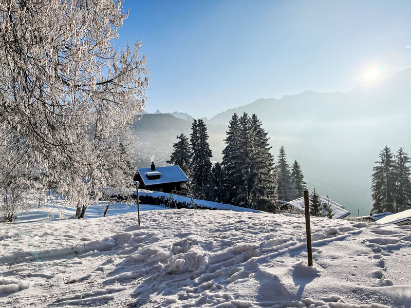 Chalet Le Cornuit