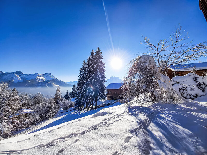 Chalet Le Cornuit