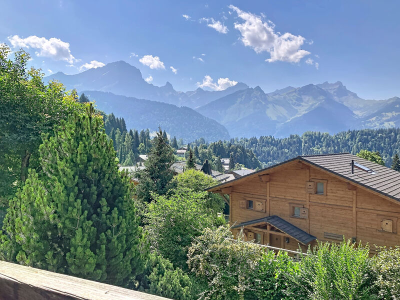 Chalet 1899