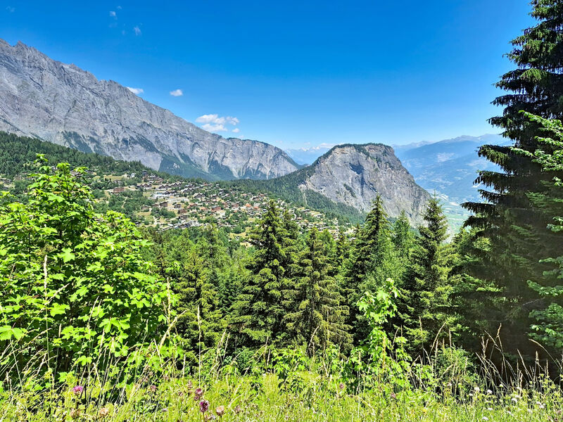 Le Mayen d'Ovronnaz