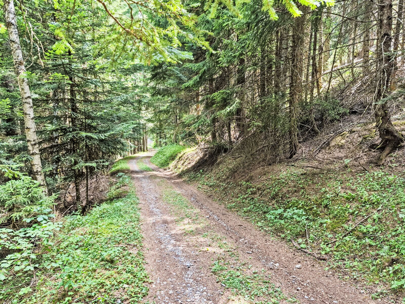 Le Mayen d'Ovronnaz