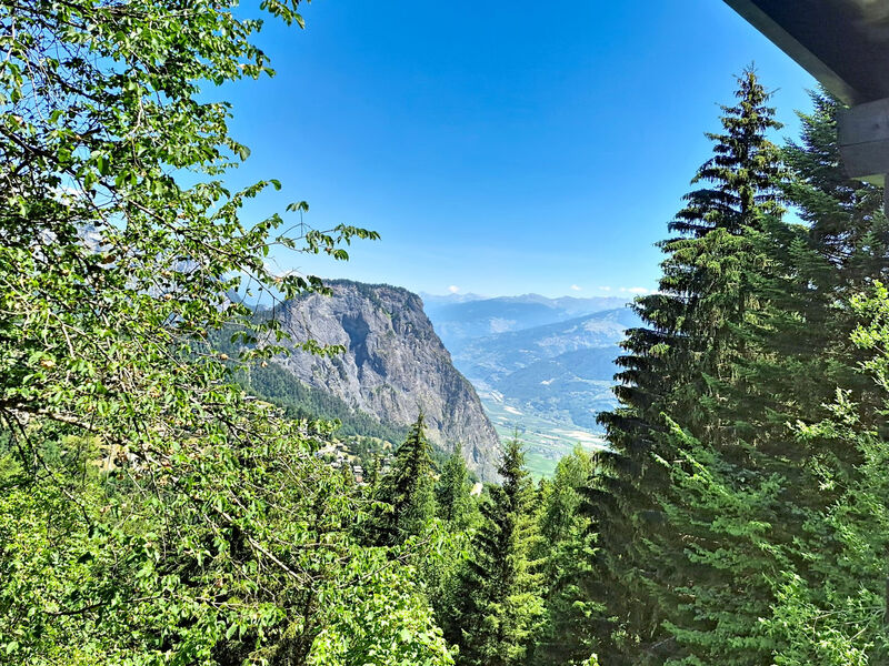 Le Mayen d'Ovronnaz