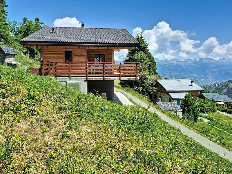 Chalet Le Bleusy