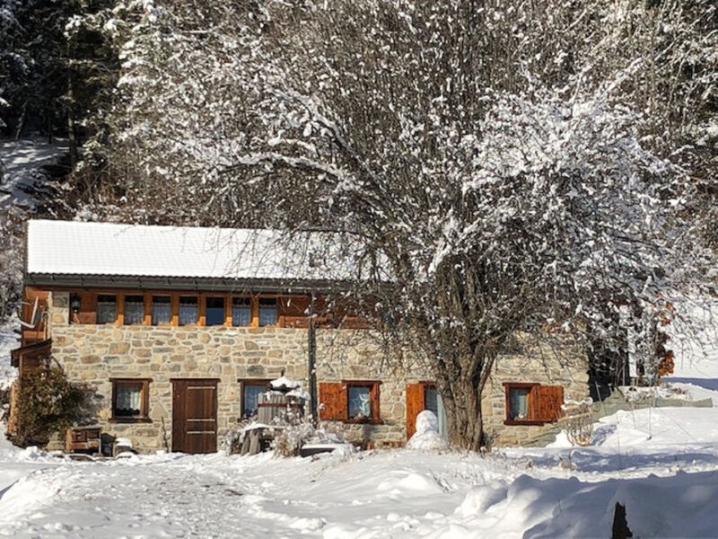 A l'Orée du Bisse - Anzère