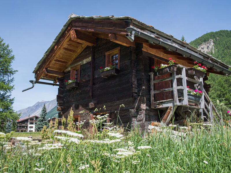 Dům Felice, (Zermatt), 1333.00