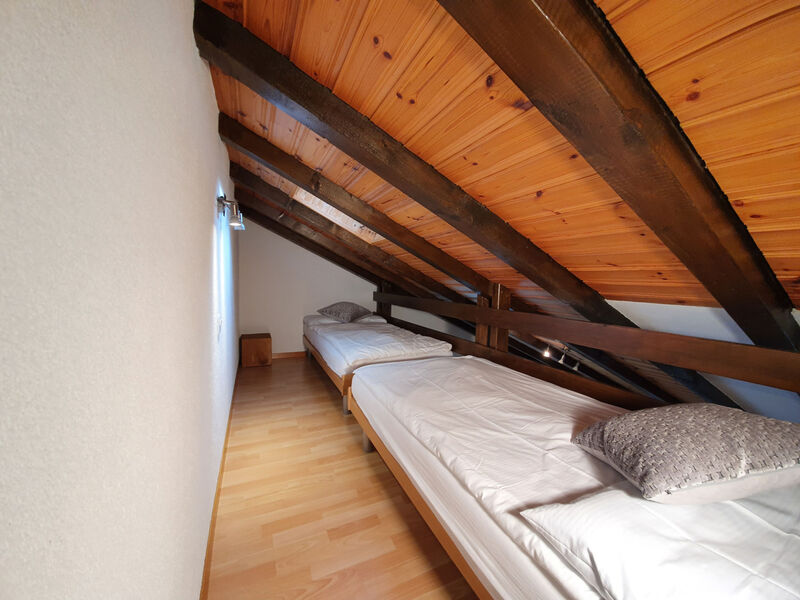 Bergdohle Randa