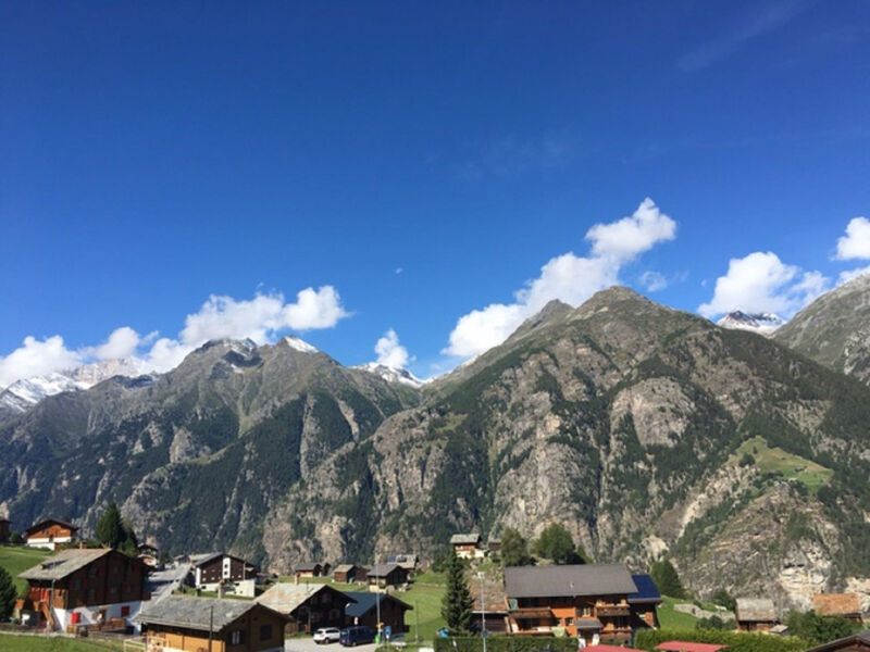 Lunic, AZapartments.ch, B&B, (Grächen), 1057