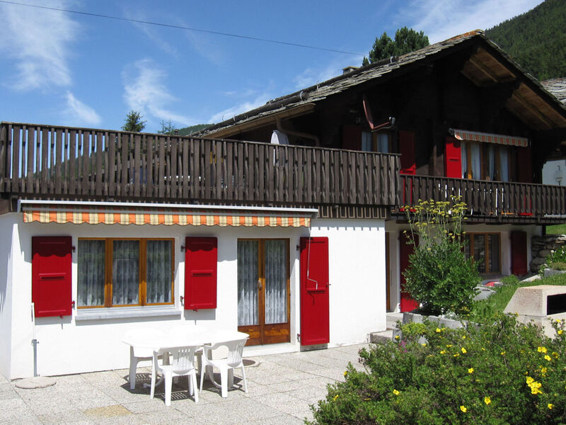 Fleurs des Alpes, (Grächen),