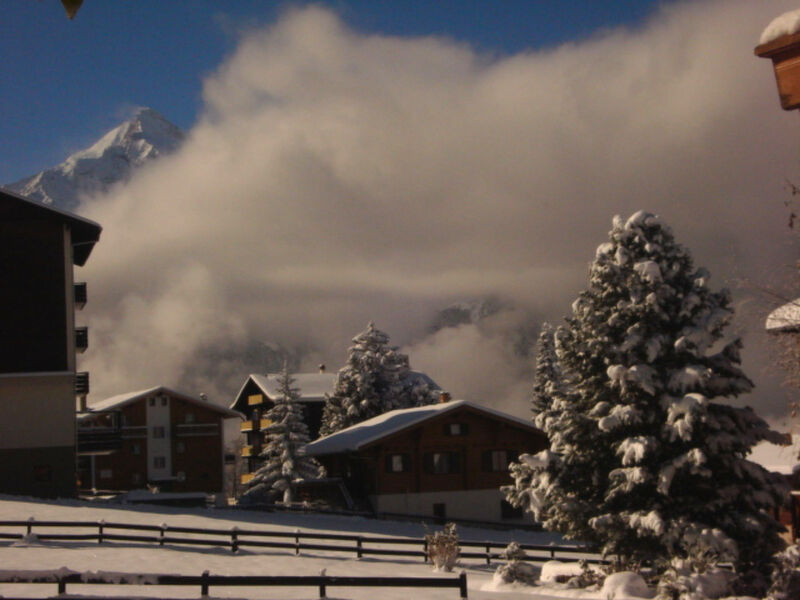 Chalet Petunia, (Grächen), 1116