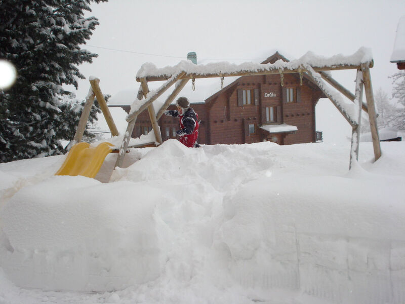 Chalet Petunia, (Grächen), 1116
