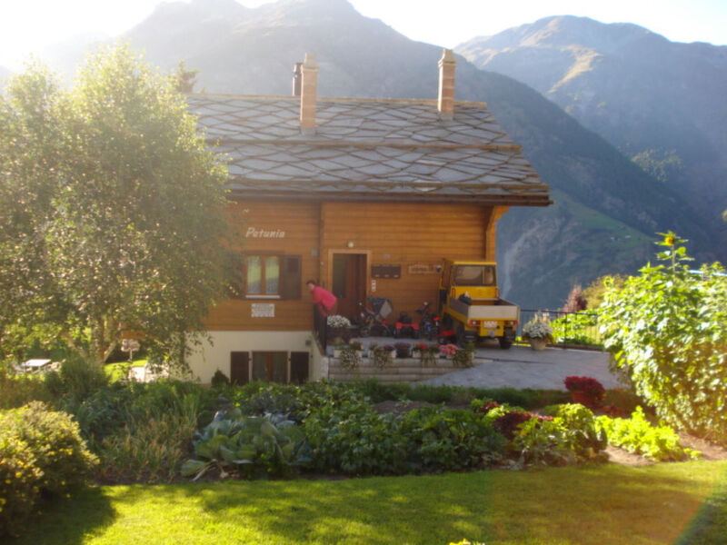 Chalet Petunia, (Grächen), 1116