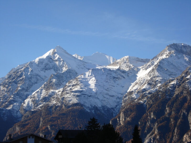 Chalet Petunia, (Grächen), 1116