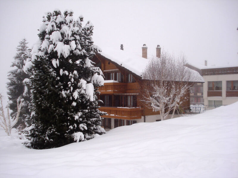 Chalet Petunia, (Grächen), 1116