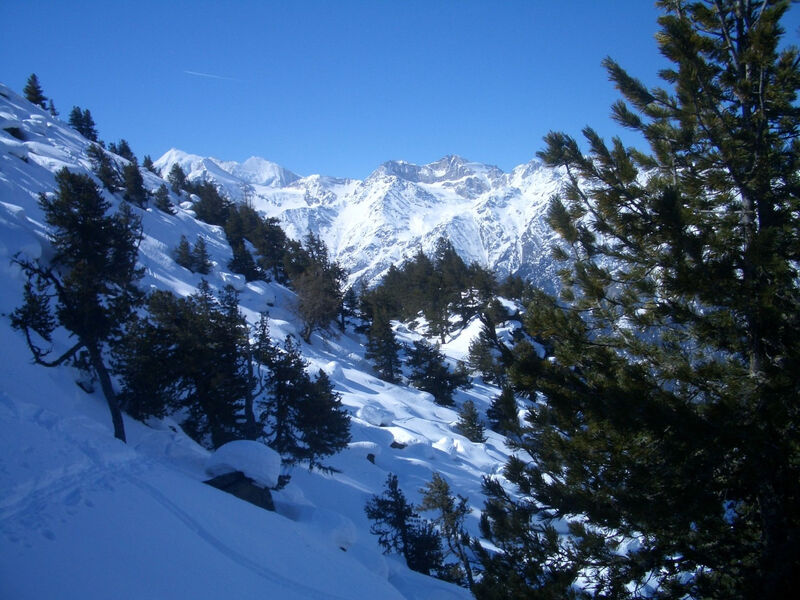 Chalet Ferienwohnungen Schwalbennest Moos Grächen, (Grächen),