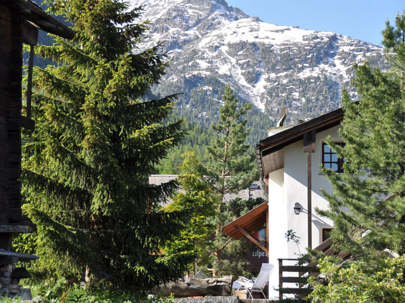 Goldblick, (Grächen), 1767+1034+2083