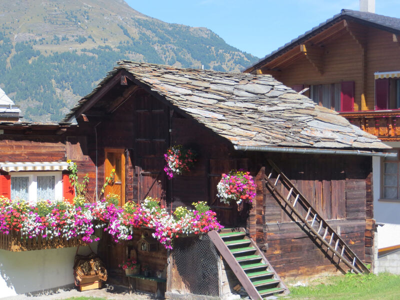 Residence Fewo SARAH, (Grächen), 2031