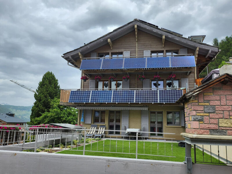 Steinbock, (Grächen), 2024