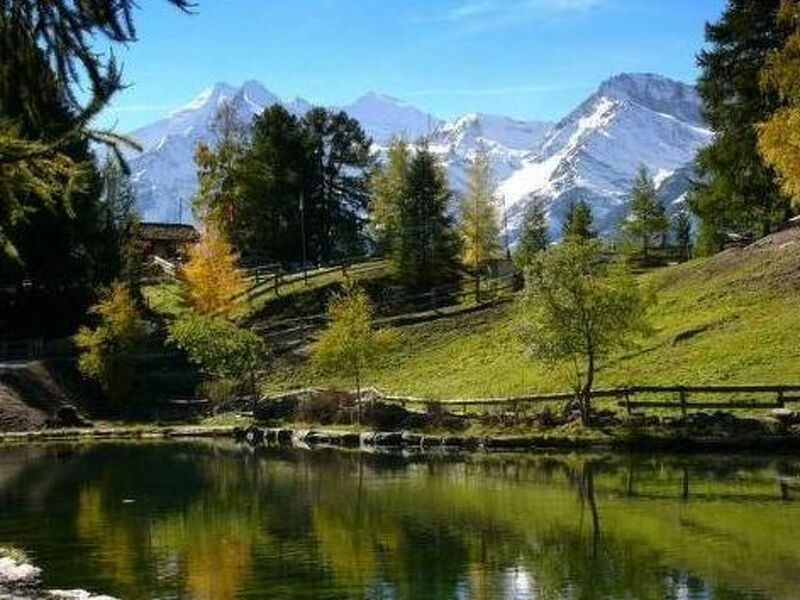 Silberblick, (Grächen),