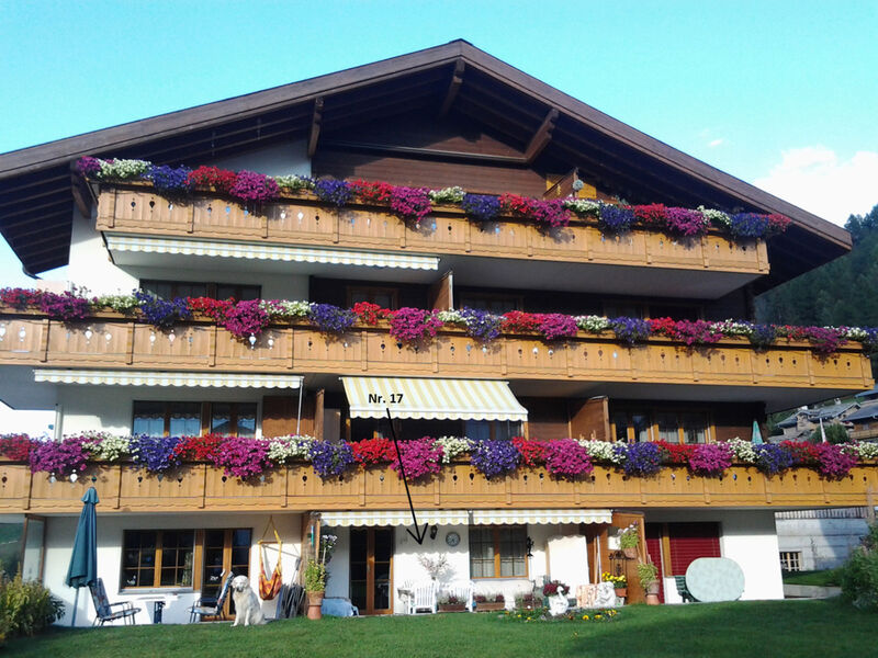 Sierra Vista Wohnung Nr. 17, (Grächen), 2010