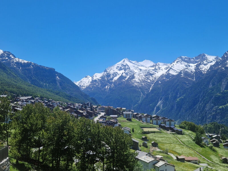 Birke, (Grächen),