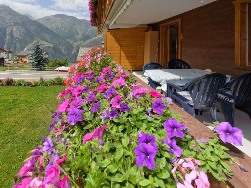 Wohnung Nr. 20 Sierra Vista, (3925 Grächen), 5001