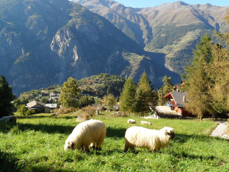 Finkennest, (Grächen),