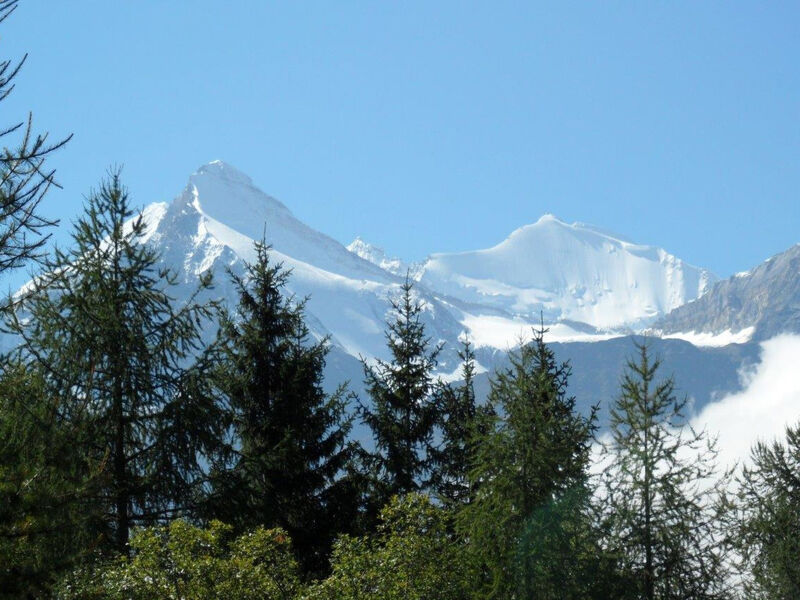Finkennest, (Grächen),