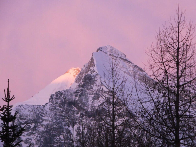 Finkennest, (Grächen),