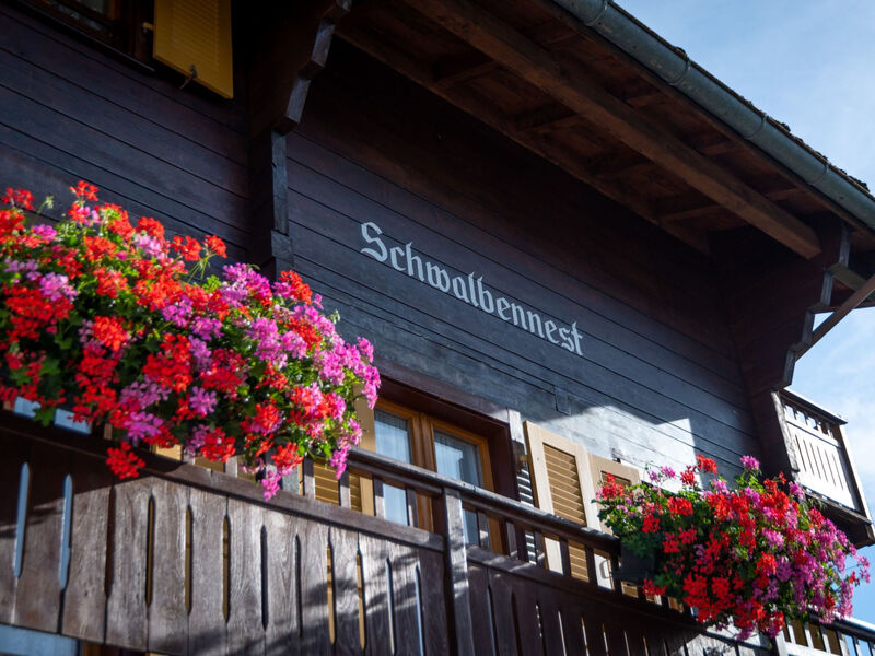 Chalet Ferienwohnungen Schwalbennest Moos Grächen, (Grächen),