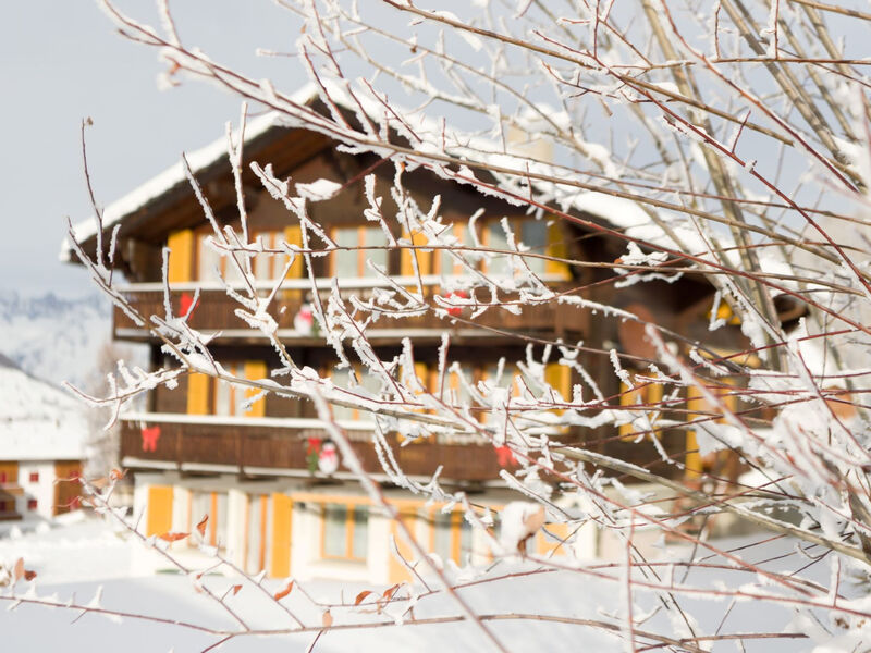 Chalet Ferienwohnungen Schwalbennest Moos Grächen, (Grächen),