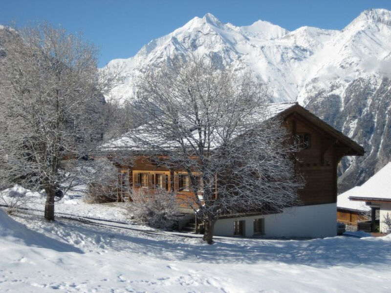 Chalet Virginia A/B, (Grächen),