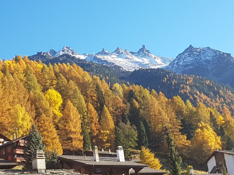Schneevogul, (Grächen), 1114