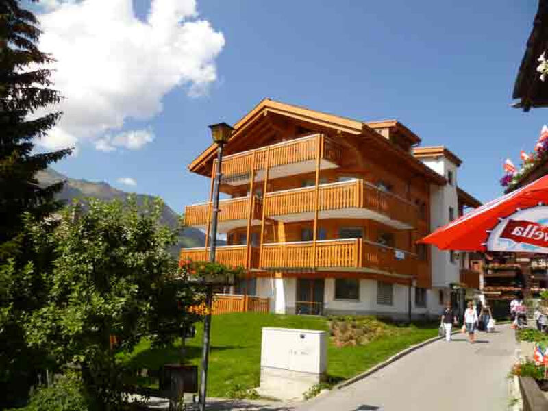AsterB, (Grächen),