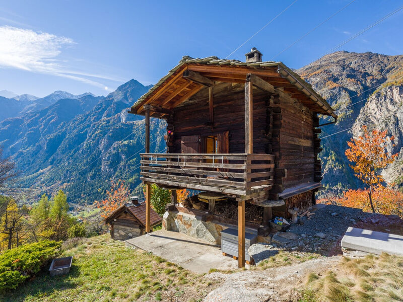 natur pur