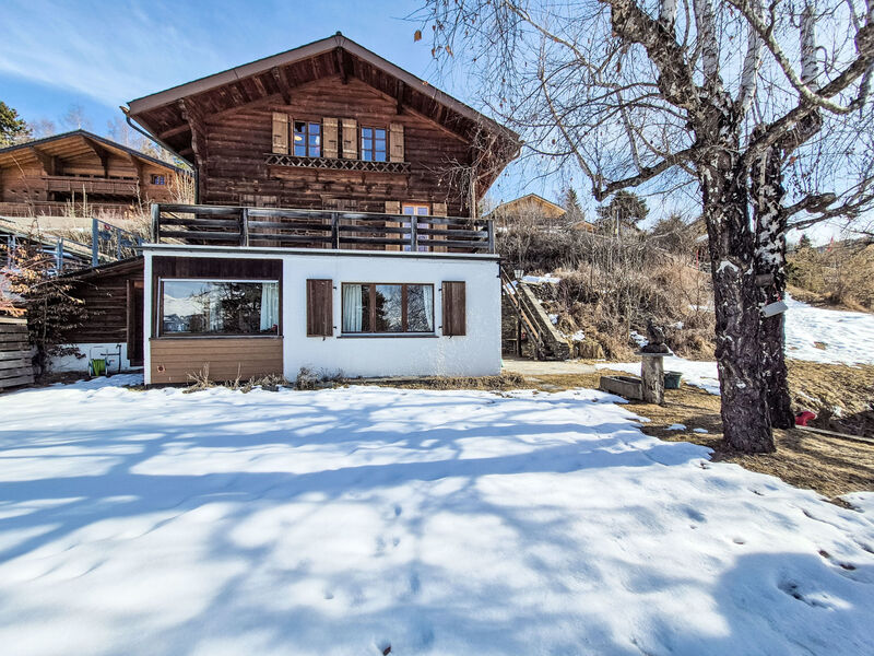 Chalet Le Rhônasson