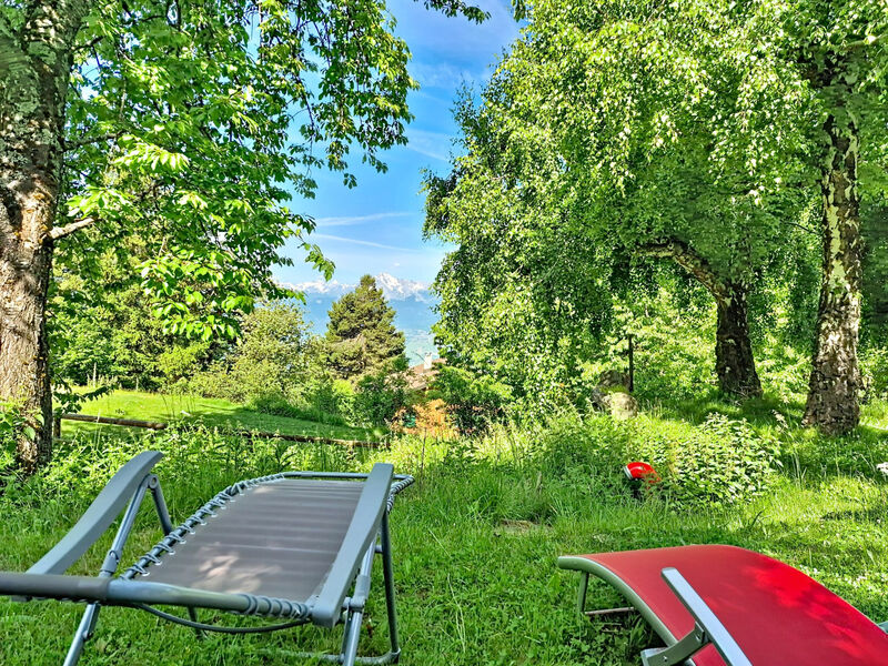 Chalet Le Rhônasson