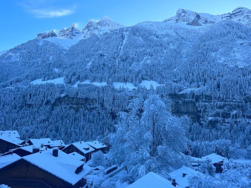 Chalet l'Eglantine, (Champery),