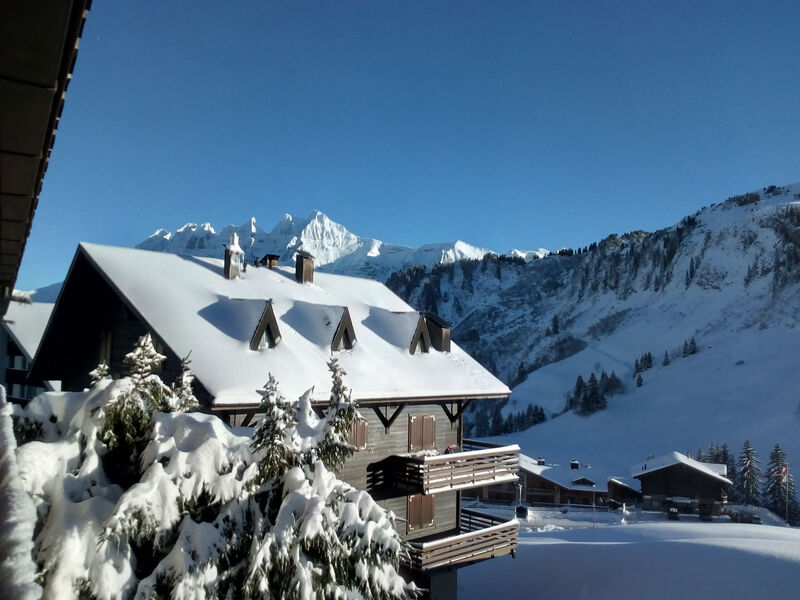 Résid. Les Rhodos 1, (Les Crosets),