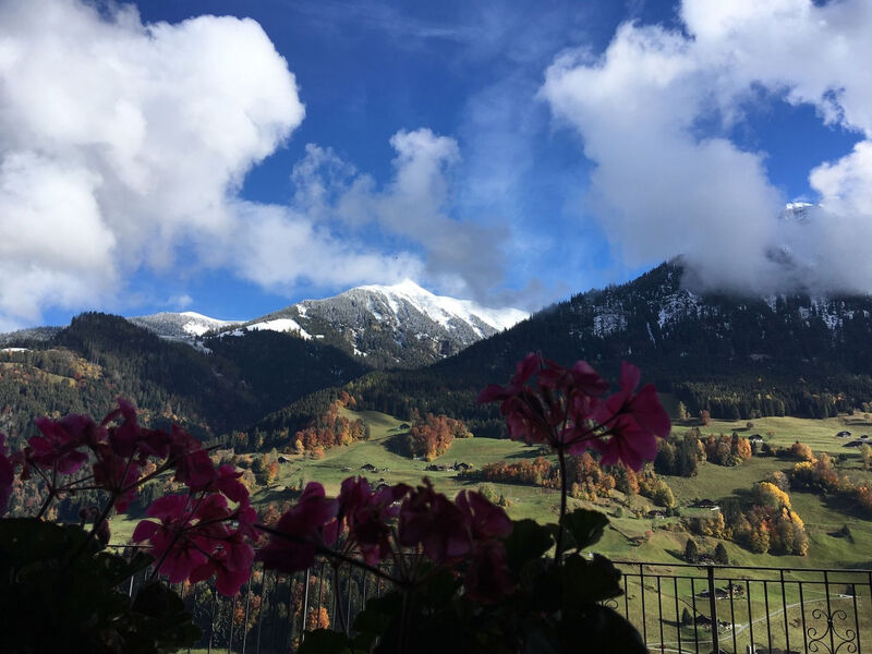 Chalet La Pala, (Val-d'Illiez),