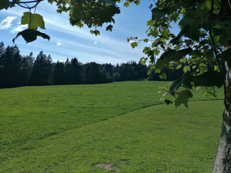 Apartmán - Les Poingnats, (Les Breuleux),