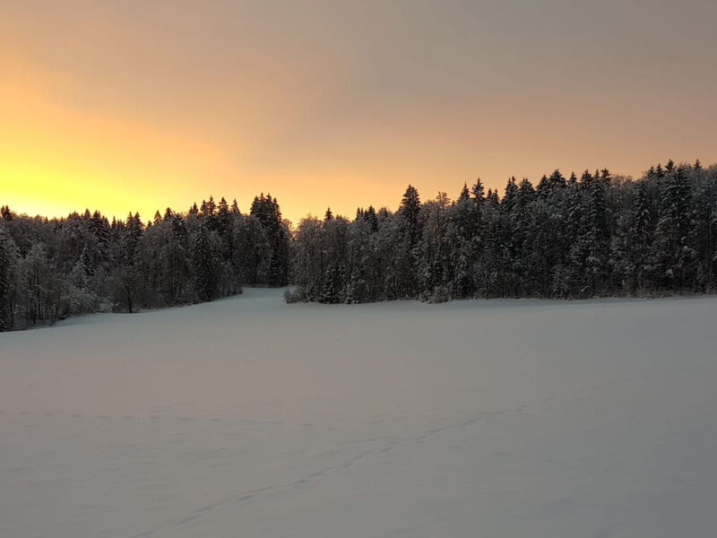 Apartmán - Les Poingnats, (Les Breuleux),