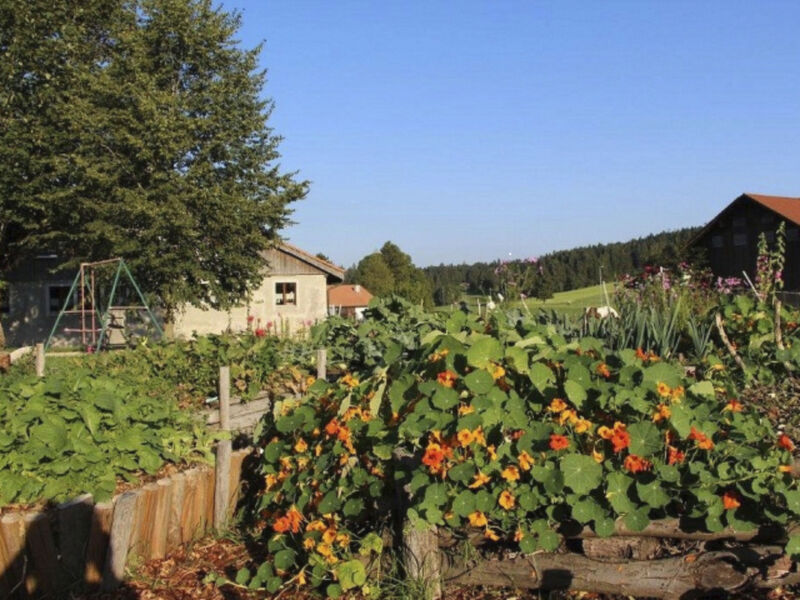 Maison de vacances - Les Hirondelles, (Montfaucon),