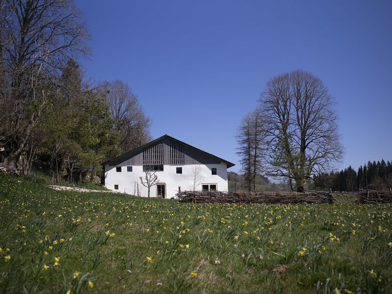Appartements - N°5 et N°5B, (Le Prédame),