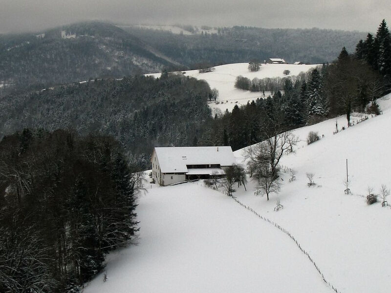 Appartements - Ferme La Joux-Chaupe, (St-Ursanne),